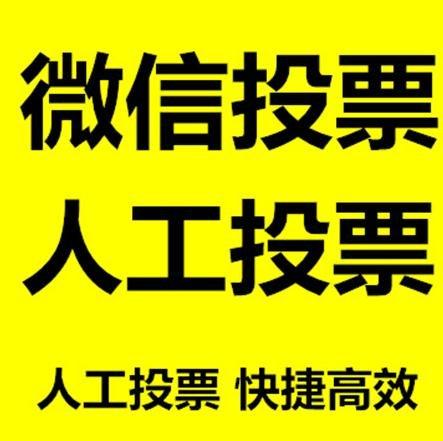 湖南省投票活动拉票能被查出来吗？如何操作能不被发现？